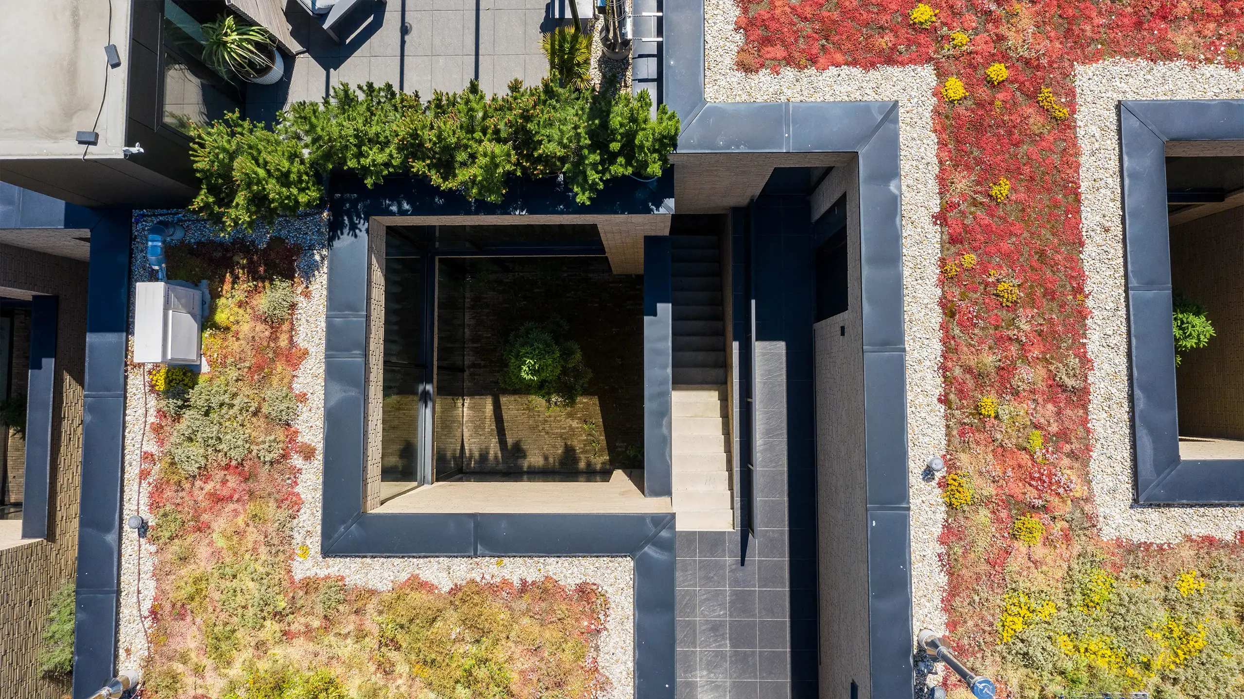 Rezidenčný projekt Eleven Housing – detail zelenej strechy obytného domu - obrázok 5