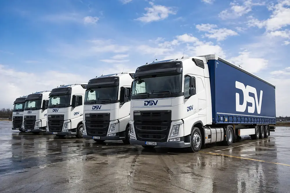 DSV