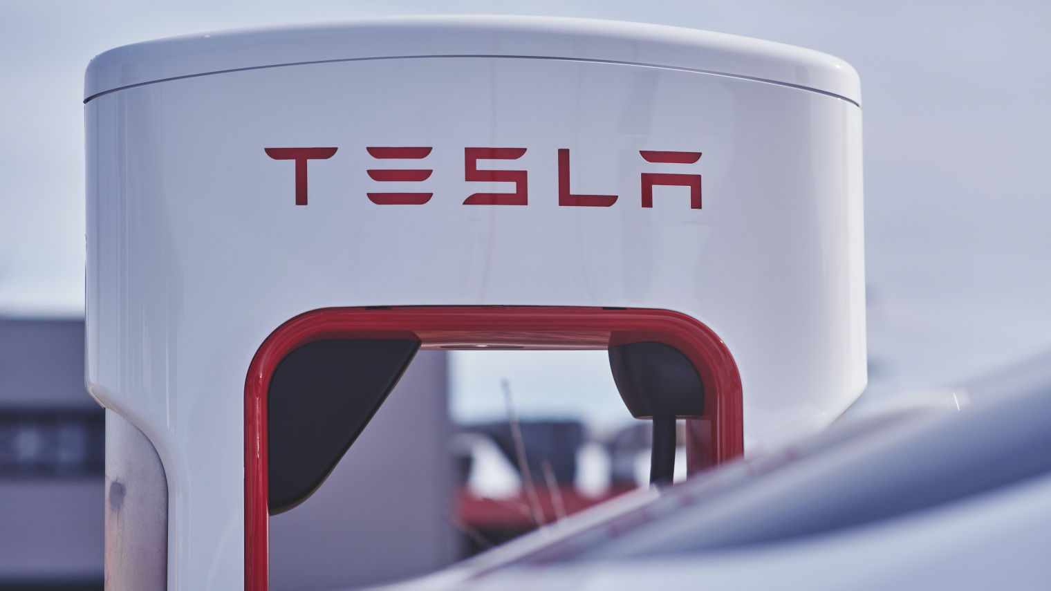 Tesla: Mania or a Technological Miracle?
