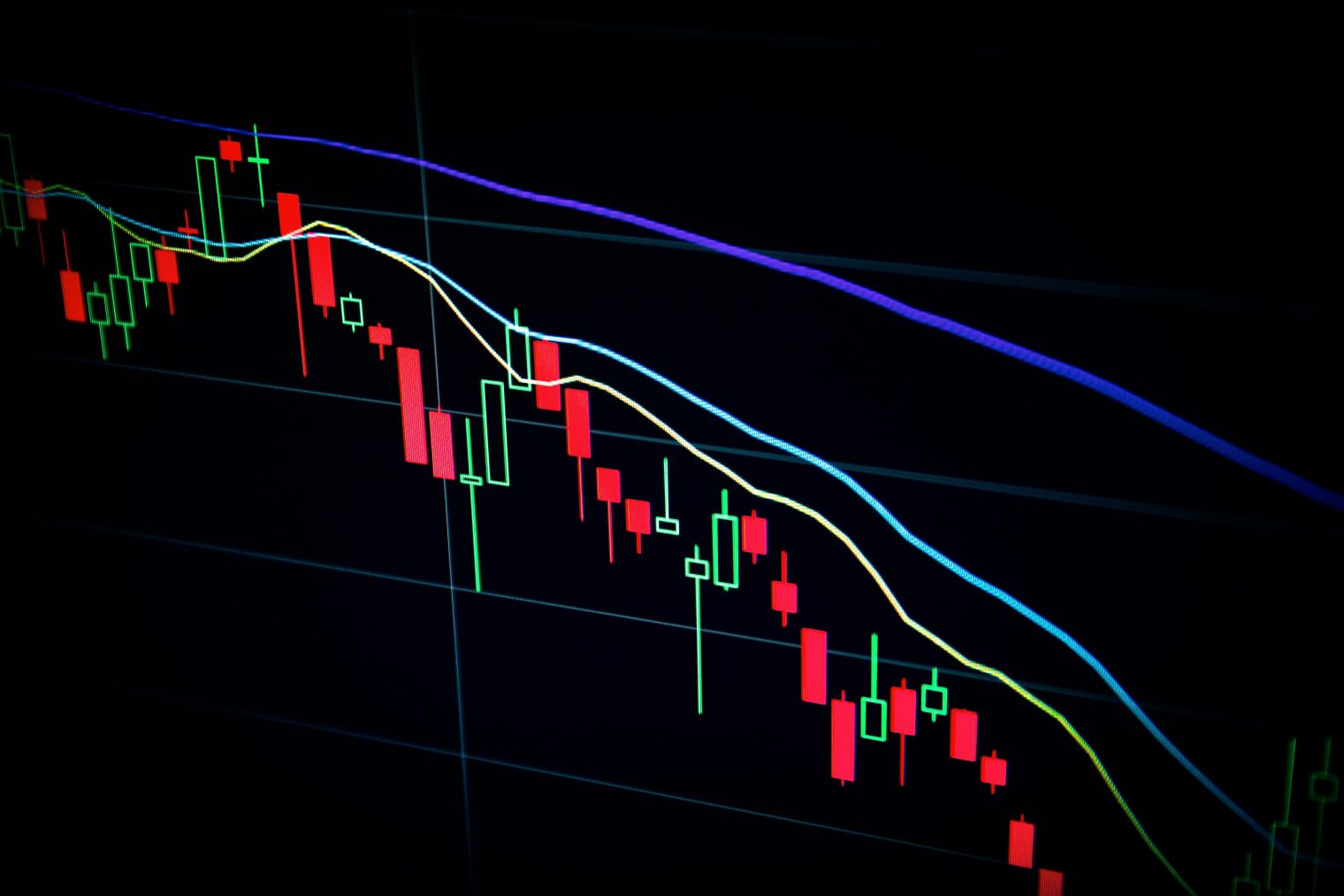 WallStreetBets,